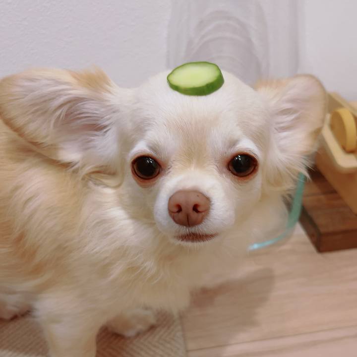 8ce2c398 10ef 43c8 8996 c184fa03e586 1693827835376