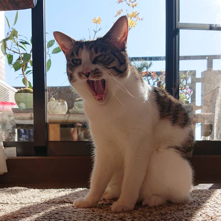 8ce2d6d3 97ff 41cd a05d a8577810be4f 1575963196858