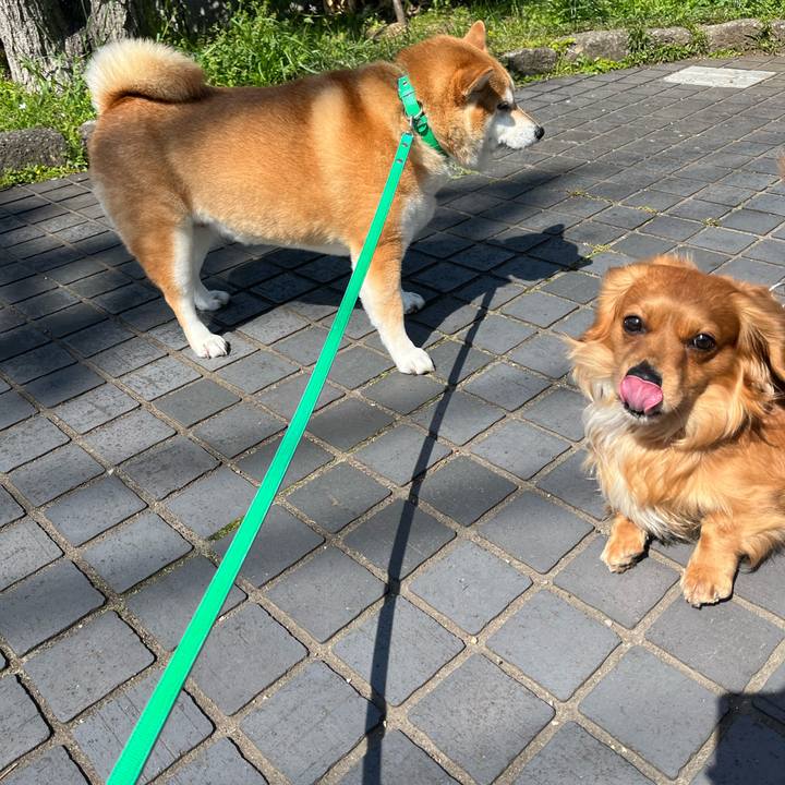 8ce31a3f c9df 44f4 90b4 04dbff9b2c33 1649380541590