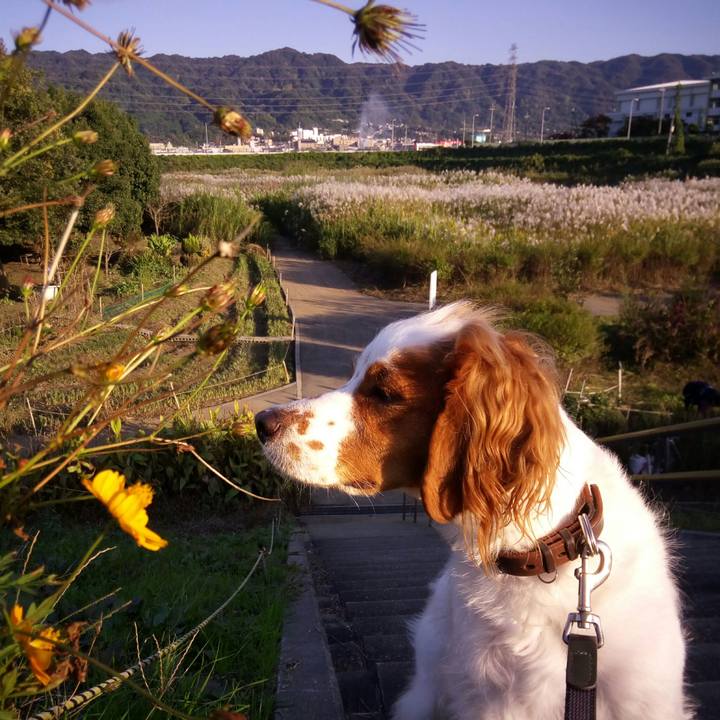 8ce392e9 8a88 4167 bf4b 477d8a1b7697 1509437968704