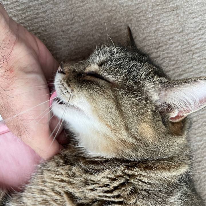 8ce3b2bb ee89 478c 9909 a3ecd71f408b 1718013805941