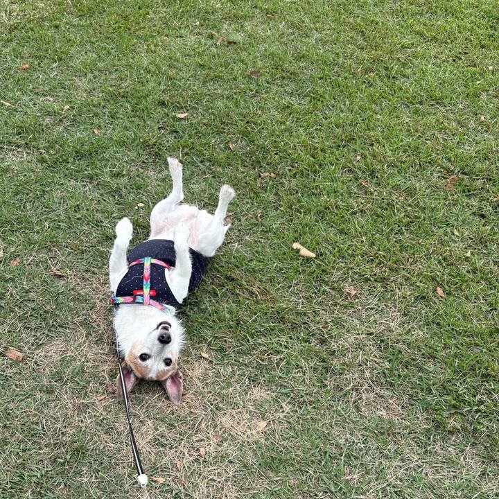 8ce40b20 39d7 4d60 af36 b64cd8d1679c 1760569576415