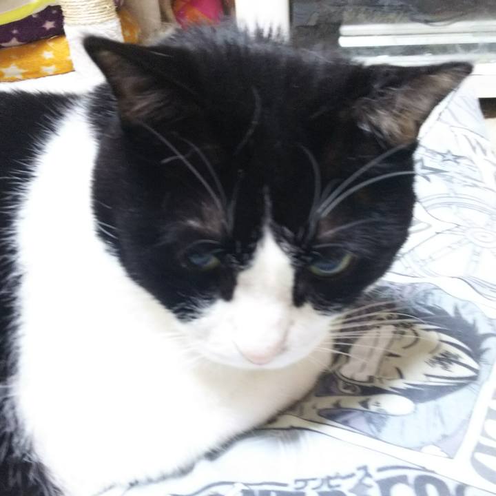 8ce4725d dca9 401c 8728 bfbfd84d67d2 1527024980575