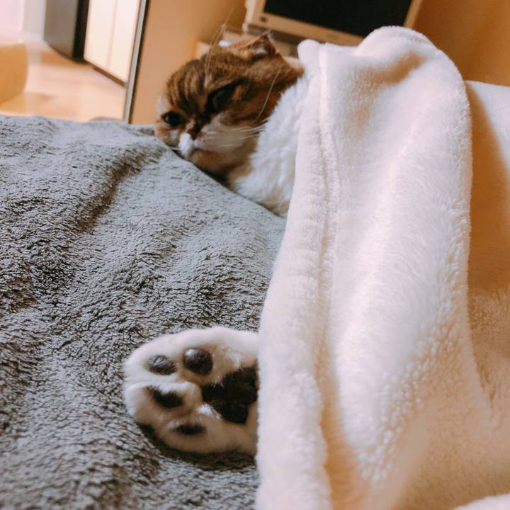 8ce47fe5 1171 4f8b b665 a34e3248e862 1545312106760