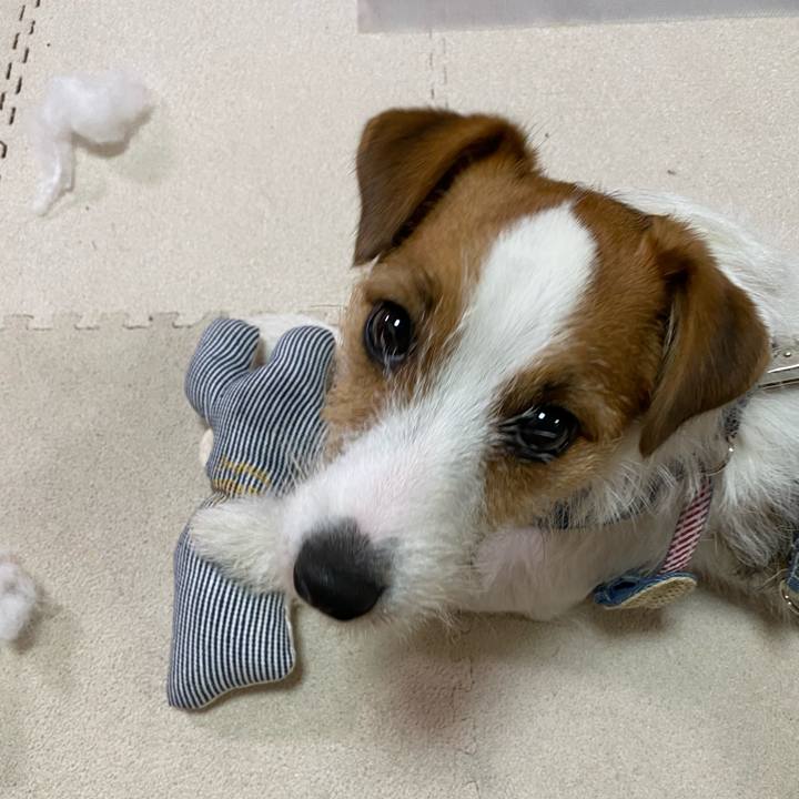 8ce499a8 b5be 4434 ba82 c1447adfb205 1627046707394