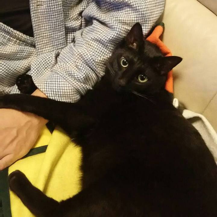 8ce4a53f f0d6 4b40 90aa b2cfc964f7ac 1546446300124