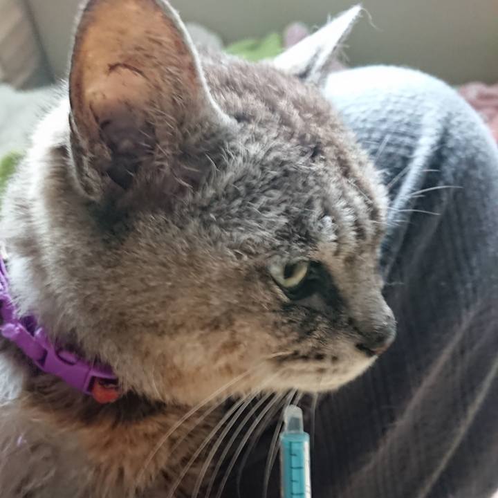 8ce4beb0 fe64 4a96 9414 0acaa05d0ec9 1596754310424