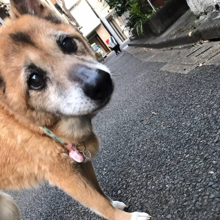 8ce4f053 63aa 470d 9ecb 57d5708a5343 1558690085294