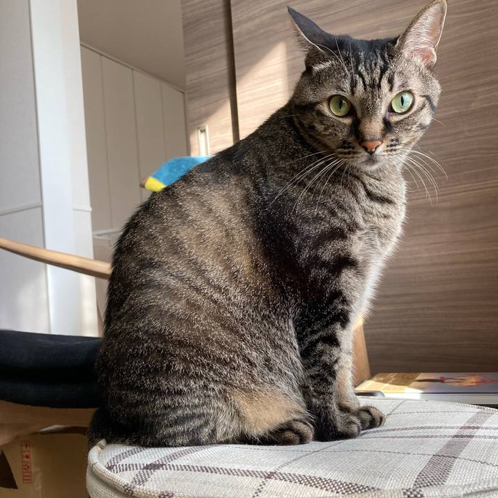 8ce5201f 4d7e 4b61 bc92 9a03b8faff0e 1633646656369