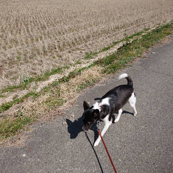 8ce52b84 e09f 4784 af01 74b685fc404a 1521255911972