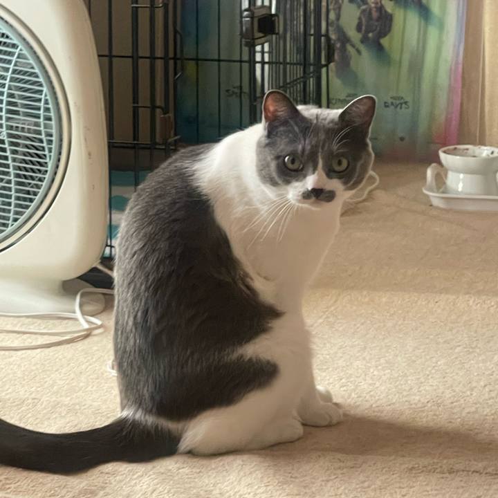 8ce53728 f1fe 4e2b 881e 684640c72aa0 1698271495827