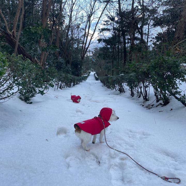 8ce53aa8 8b04 48f5 820b 65a12f132f02 1675294123420