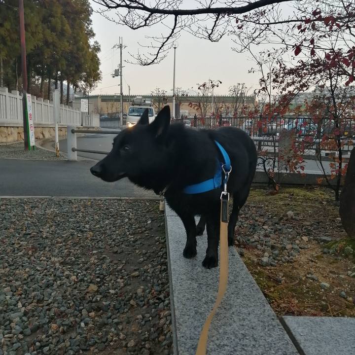 8ce54356 f4f6 4e1e ad73 a0c542dd8e2c 1608848400263