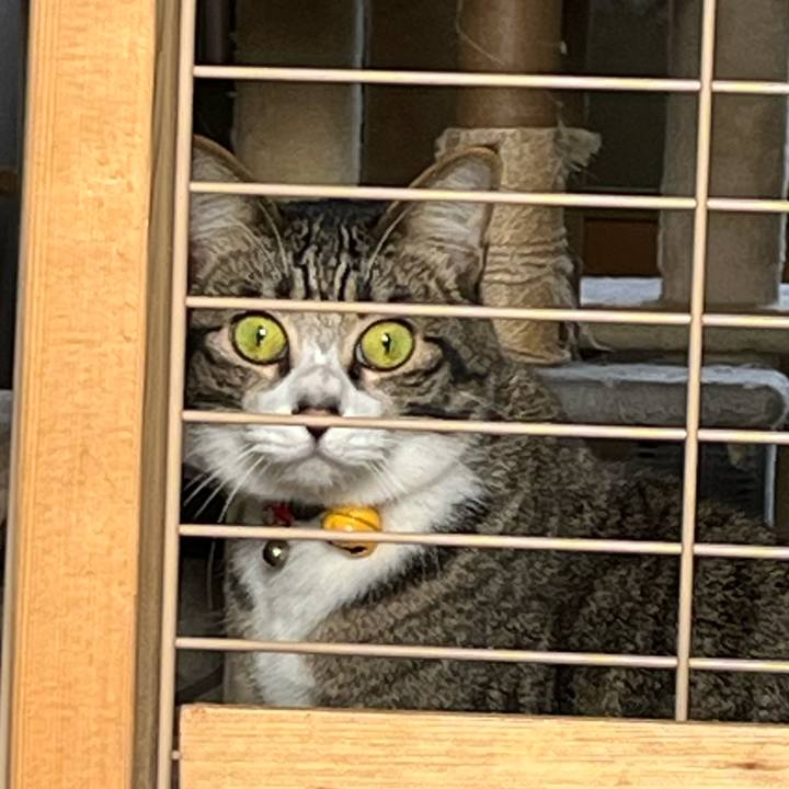 8ce553c0 b6ac 4c55 a7bd 295828dac073 1769913966794