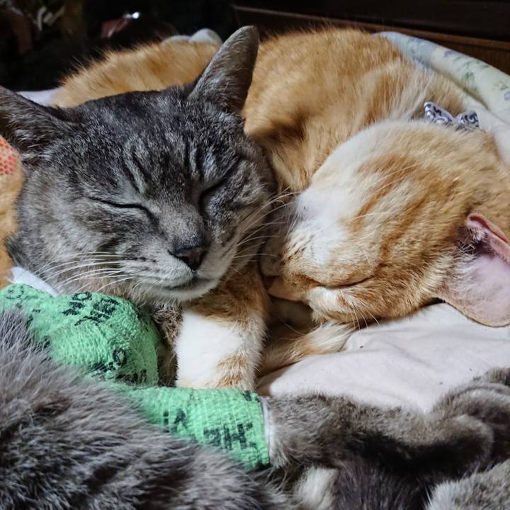 8ce569f7 01bd 4958 b869 79a1fd2dbabb 1587210553870