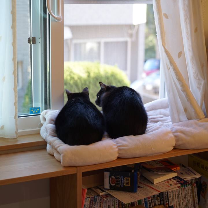 8ce58053 5a58 4875 aea7 95ce0a25f0f5 1552001816236