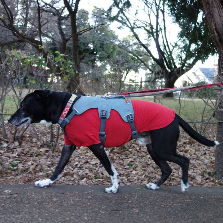 8ce599cf 1a71 47b6 8488 f54b24996b31 1736468070511