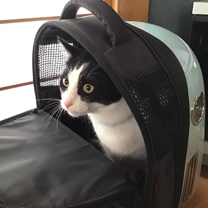 8ce59d97 8544 4d40 aaa8 0e63d754b14e 1700868349989