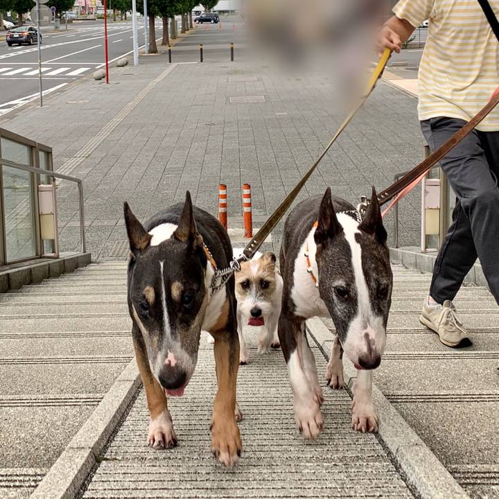 8ce59f77 d439 4292 bf5f 730c470e717e 1600510379054