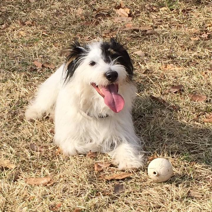 8ce5bae9 2179 4107 901e dbc179c1427a 1521411682135