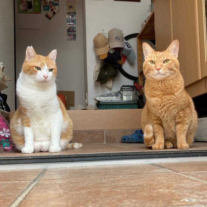 8ce5ca06 8141 4516 b0db 93a7f0d10452 1765087122920