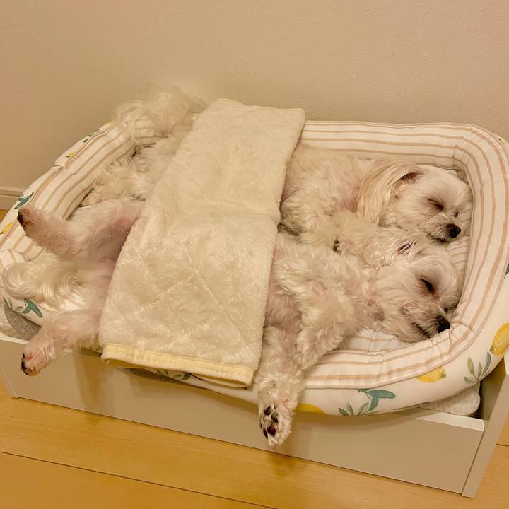 8ce5cd60 0ed5 4694 ab35 316afda0117b 1620658849234