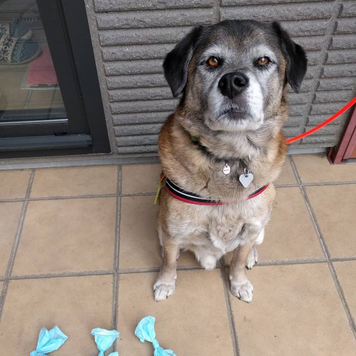 8ce5d029 8326 45ea 9cce f0407718c56f 1519175024693