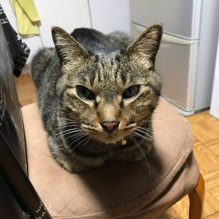 8ce5d8af 1e22 435f bc21 1ec4e2cb5dc1 1632995390642