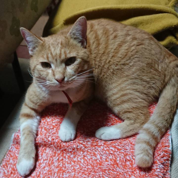 8ce5fd85 9222 45ac 8c56 f379549d5727 1573206330868