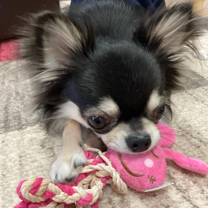 8ce61745 e1bf 4129 aa1c 685fdeae021c 1615073764667