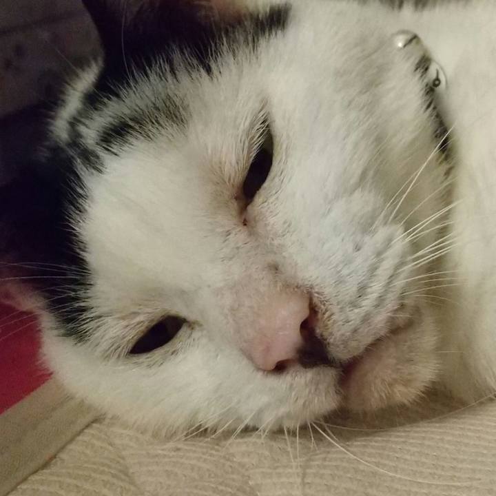 8ce69217 47a1 471e 94e0 15b873e75009 1756469751315