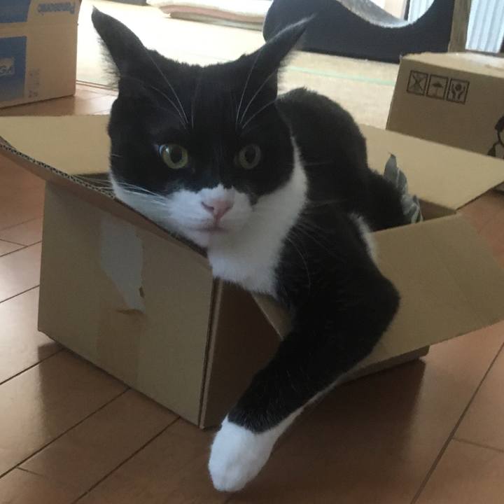 8ce695df c286 4991 a50a 50602e202c06 1586082483668