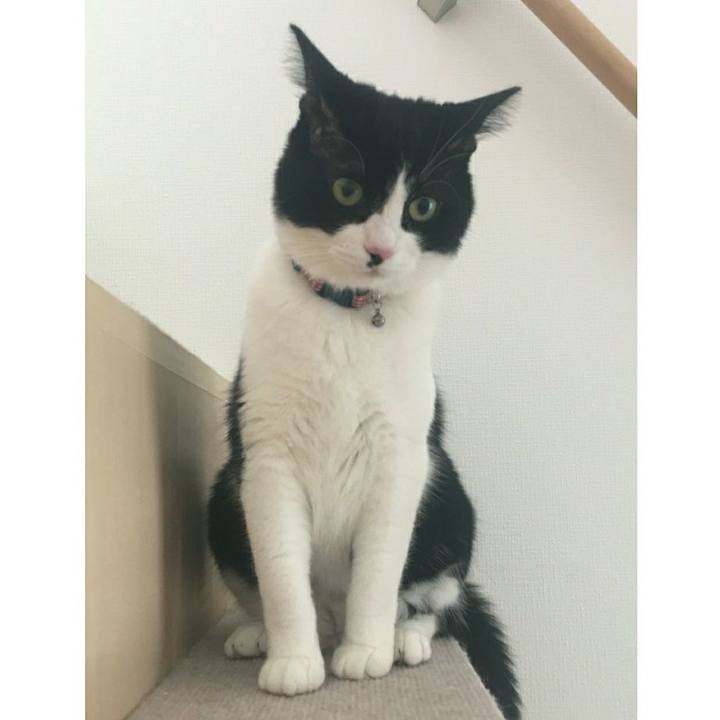 8ce6afc3 265d 476f ae9d 8fb7e30d2fa0 1527783017795