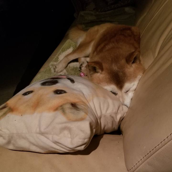 8ce7159b 297e 4ed3 bd07 83a27a5f25fa 1769862560810