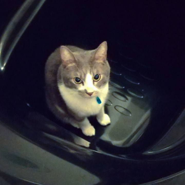 8ce717d0 ee98 4237 bb51 c3bce2378177 1636977642843