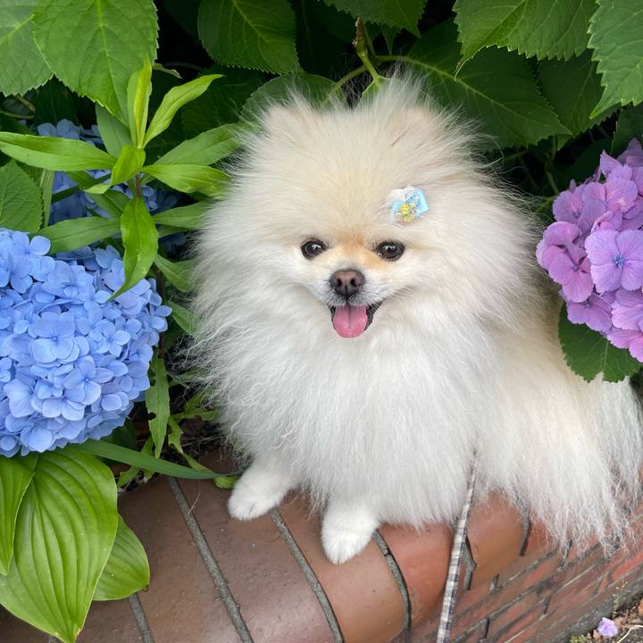 8ce71f8a e4f9 49e8 826e fd7300fb6b50 1655425146693