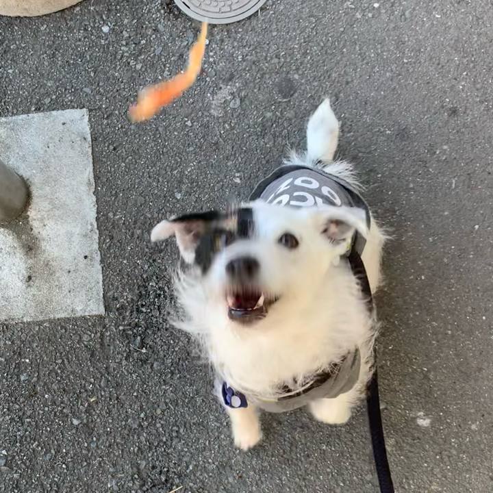 8ce722c1 c3a1 4340 a71e 4ca000d2c3b4 1715844211551