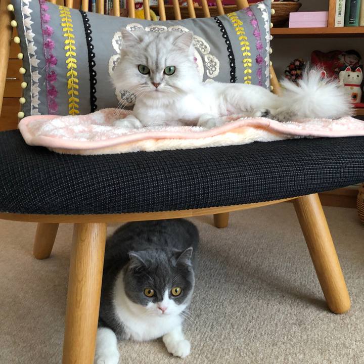 8ce748b8 84c6 48d5 b88d 7db0da02d8cf 1524362774711