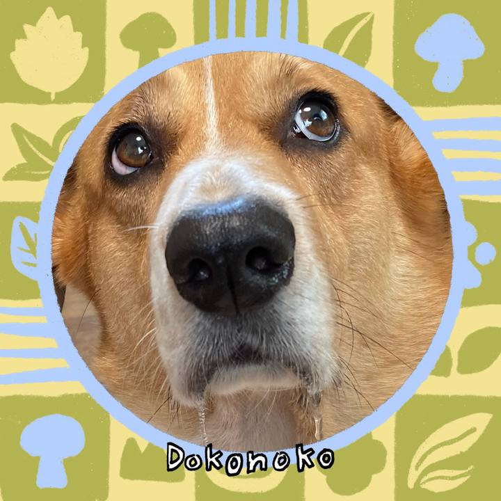 8ce75bd2 d7ef 441a 8f4f ce18ac75a037 1761449485274