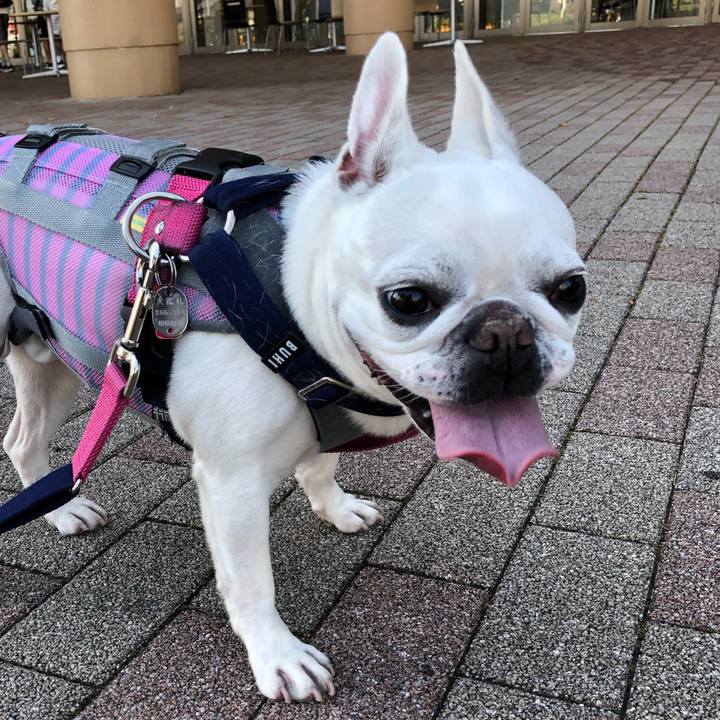 8ce77032 f246 4585 9c70 83f1cec3d725 1605418577735