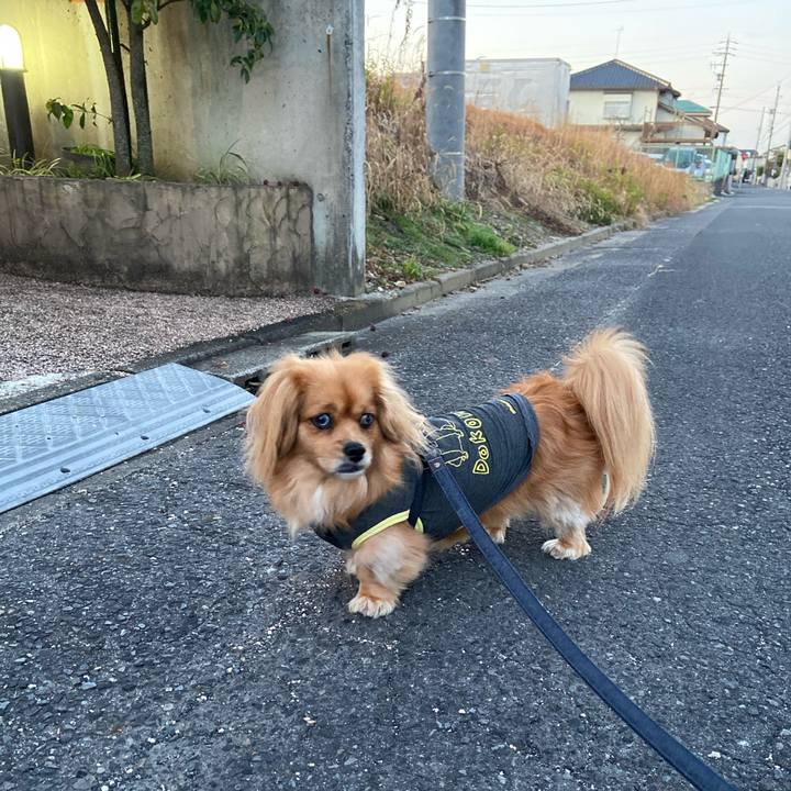 8ce77152 873d 41d2 bdba 54d2723f4382 1580423359329