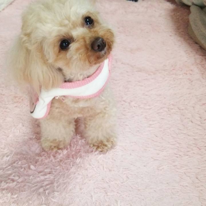 8ce79268 cd1e 47b7 a61c d6a6005b5c76 1524787467639