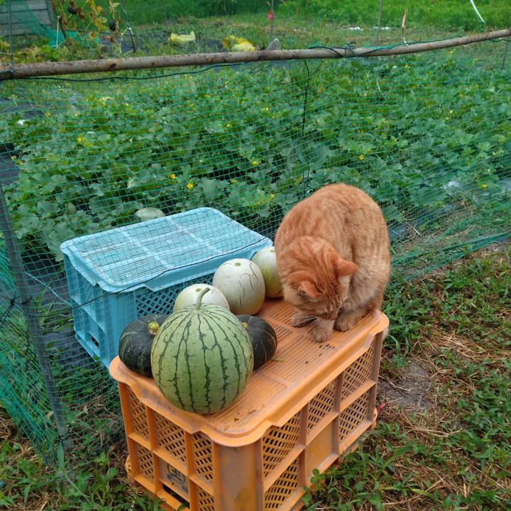 8ce7a687 88a1 480a 839f d24591b7e1a9 1691883559939