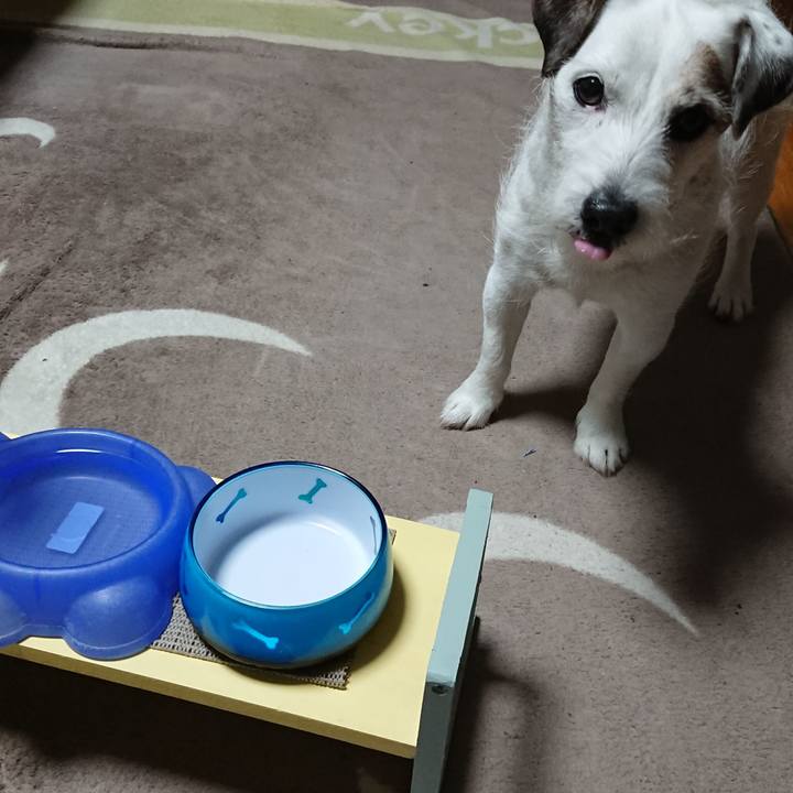 8ce7a719 b454 4a3c 86bd b436c4746cf8 1522713991981