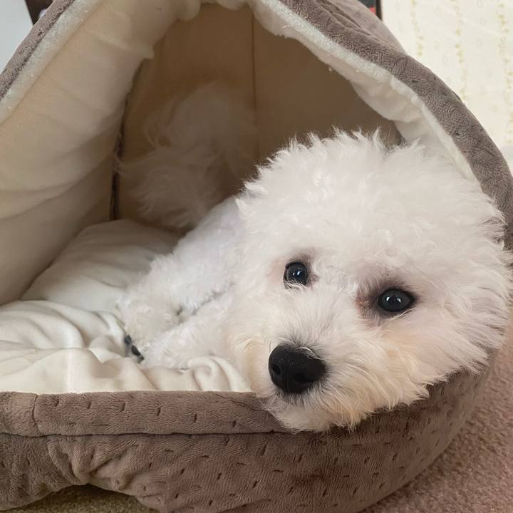 8ce7bbfa bab4 4434 98c0 b0c3cc000ad1 1761009010497