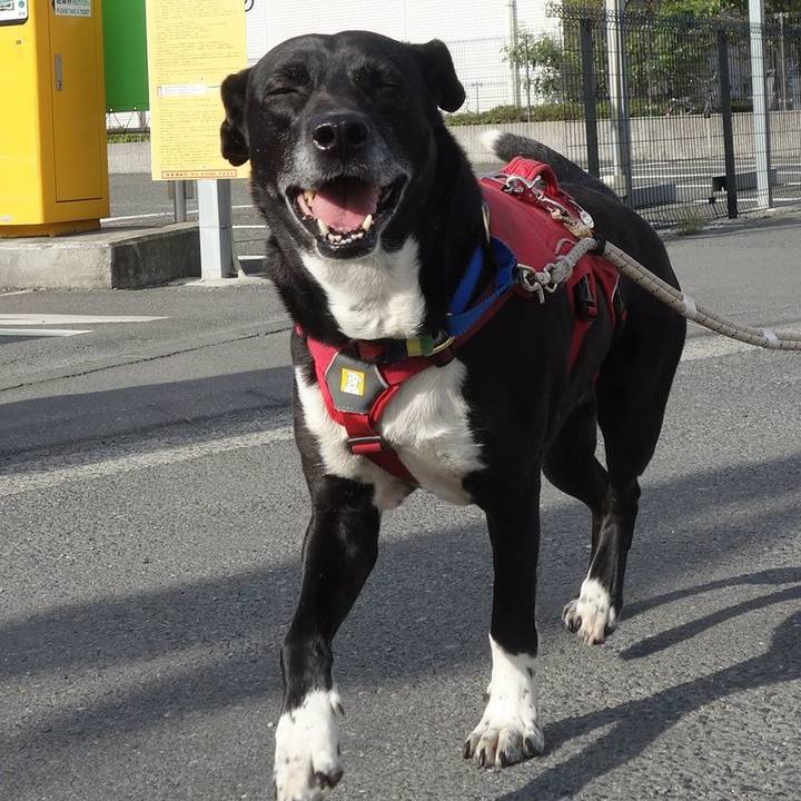 8ce7bc4d adf2 42d6 ae0d f57ba08b7df4 1681260335415