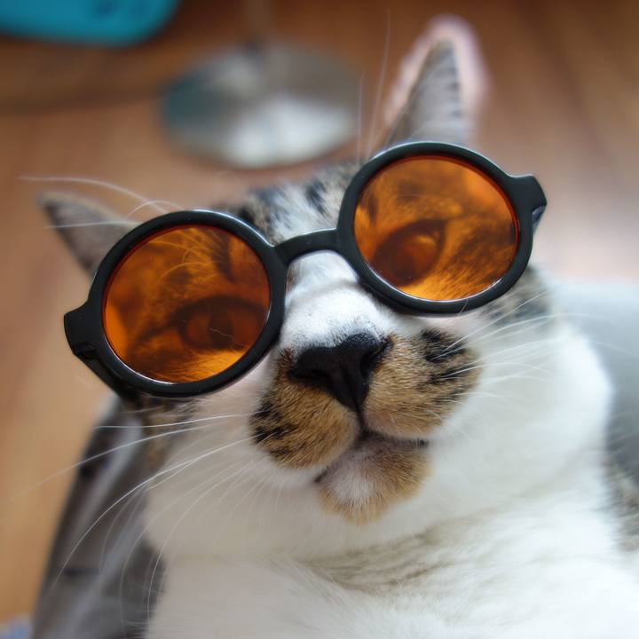 8ce81f94 2adf 455c a088 bb954c282cdd 1756961143428