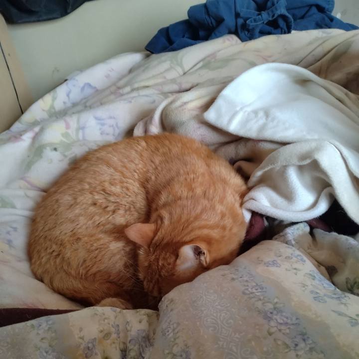 8ce82fda 5200 491a a97b 996992ea6acd 1704680549610