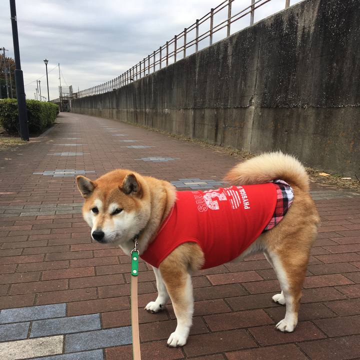 8ce86881 81c1 4374 aaf5 c73f0d2b00af 1605157019281