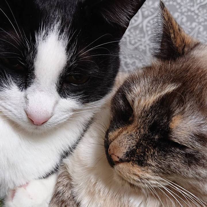 8ce86d50 6813 4b72 8ab4 c8b80d26974d 1577424361840